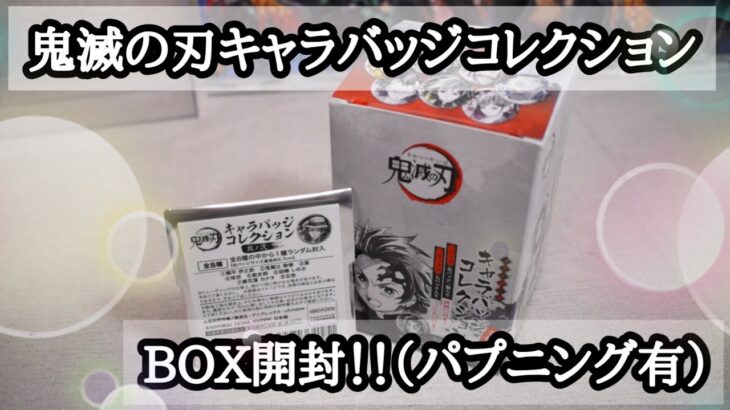 鬼滅の刃キャラバッジコレクションBOX開封！！でパプニング有り💦