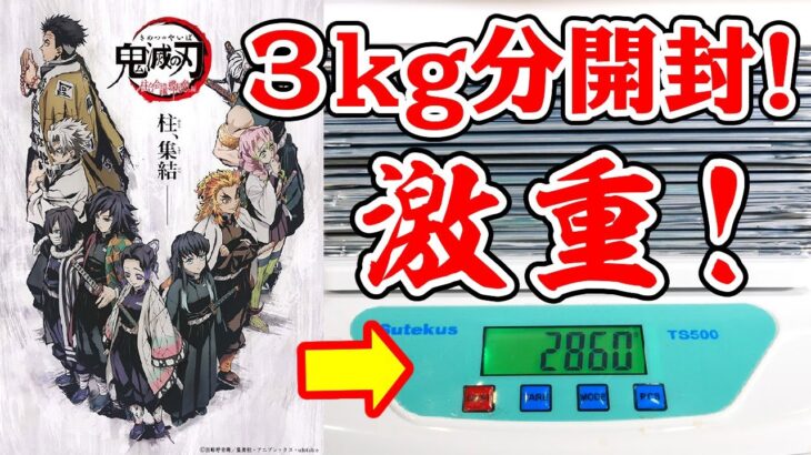 【鬼滅の刃】過去最大重！約３kg分のグッズ開封！？柱合会議・蝶屋敷編キービジュアルのアクスタを大量開封する！【ufotableカフェ・ダイニング】