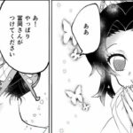 【鬼滅の刃漫画】愛は隠されている, 超かわいい蒲鉾軍です,Manga Kimetsu P170
