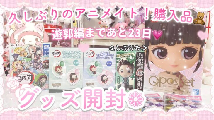 【鬼滅の刃】グッズ開封！久しぶりにアニメイトに行ってきた🧸（開封動画 購入品）