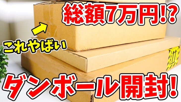 【鬼滅の刃】総額７万円分！？溜まった段ボールをいっきに開封！！