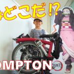 【鬼滅の刃×水上タクシー】ブロンプトン×アニメの聖地・徳島ポタリング～BROMPTON Pottering & Demon slayer, Anime Sanctuary Tokushima～