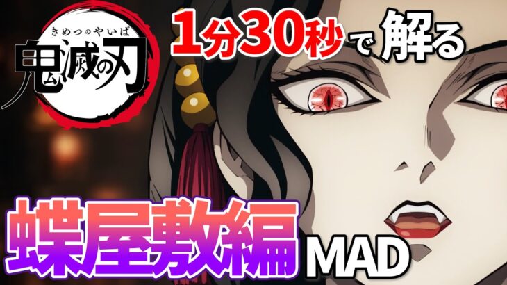 【鬼滅の刃】紅蓮華で蝶屋敷編を把握する【MAD】