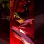 アニメ 4K 😬🤯 Demon slayer – 鬼滅の刃