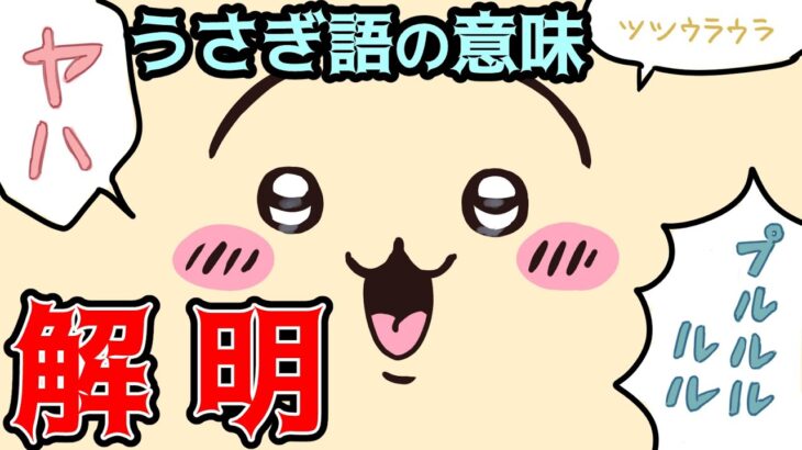 【ちいかわ うさぎ考察】うさぎが使う言葉の意味を解明/法則性を徹底考察【ナガノワールドまとめ】