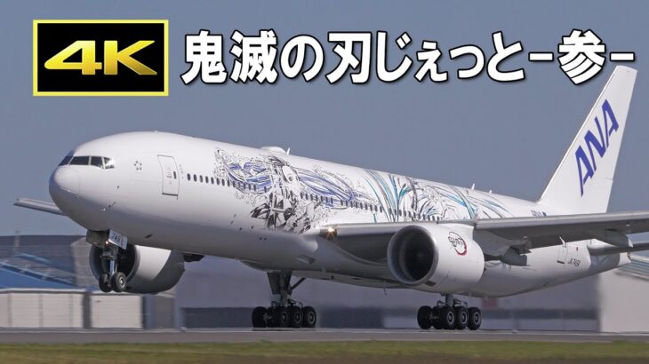 ANA「鬼滅の刃じぇっと -参-」成田発着遊覧フライト（2022年10月2日）/ ANA Boeing 777 “Demon Slayer Jet 3” at Narita Airport