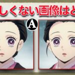 【鬼滅の刃】禰豆子の正しくない画像はABどれですか？！【Demon Slayer】Find the incorrect image of the human Nezuko from AB?