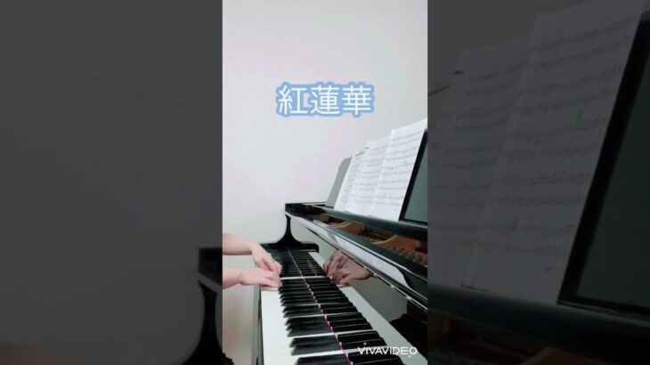「紅蓮華」ピアノカバー#紅蓮華#lisa#鬼滅の刃#アニソン#紅蓮華ピアノ# #ピアノショート動画 #youtubeショート