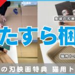 【メルカリ】ひたすら梱包【鬼滅の刃映画特典 猫用トイレ】