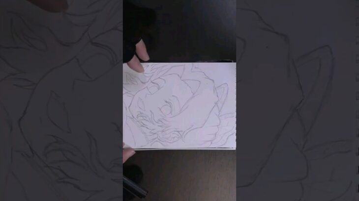 鬼滅の刃　胡蝶しのぶ描いてみた・イラストメイキング。I drew Shinobu Kochou from the anime Demonslayer.