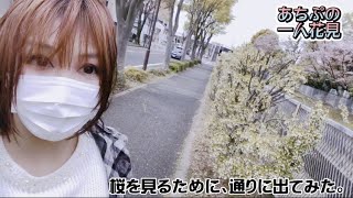 【一人花見】開封も少しやるよ【鬼滅の刃】開封動画・グッズ開封