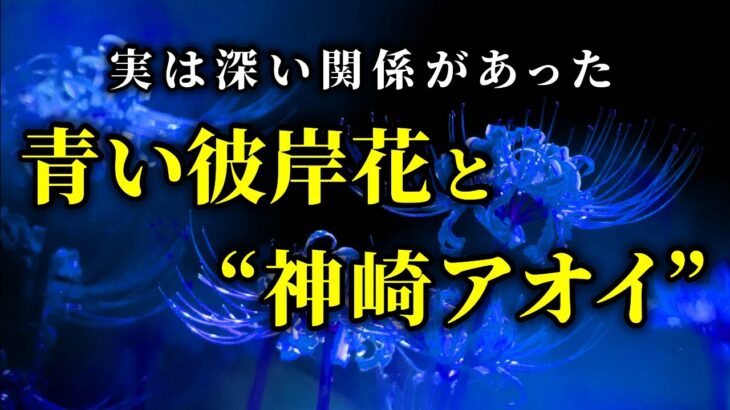 【鬼滅の刃】青い彼岸花とアオイちゃんの”青い”繋がり【考察、メンバーシップ切り抜き】