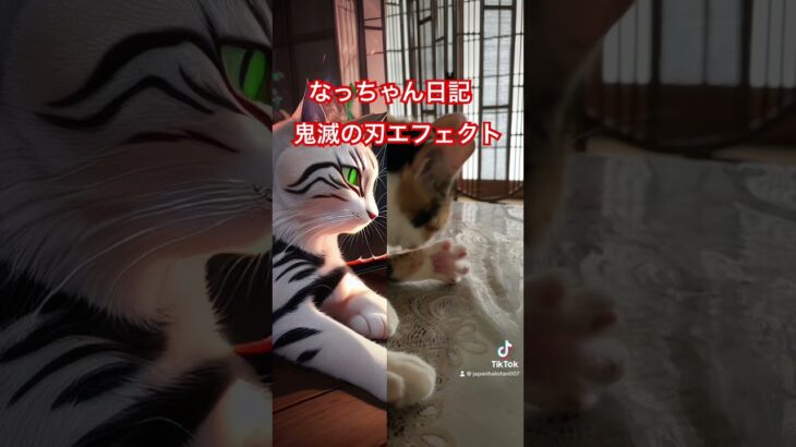 なっちゃん日記　鬼滅の刃エフェクト#鬼滅の刃#ねこのいる生活 #shorts