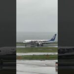 ANA鬼滅の刃ジェット Boeing767の雨の中の着陸