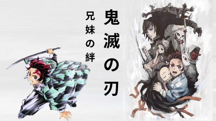 「鬼滅の刃」兄妹の絆    Kimetsu no Yaiba Brother and Sister’s Bond    TVアニメ ブックレビュ [NEO REVIEW]